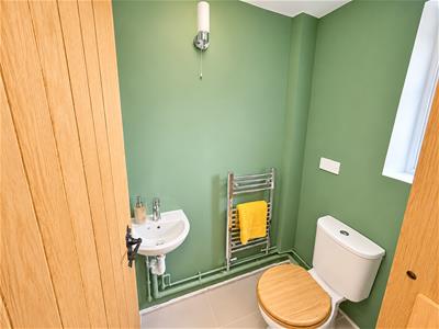 Picture 15